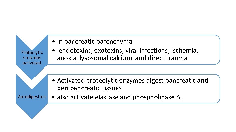 Proteolytic enzymes activated Autodigestion • In pancreatic parenchyma • endotoxins, exotoxins, viral infections, ischemia,