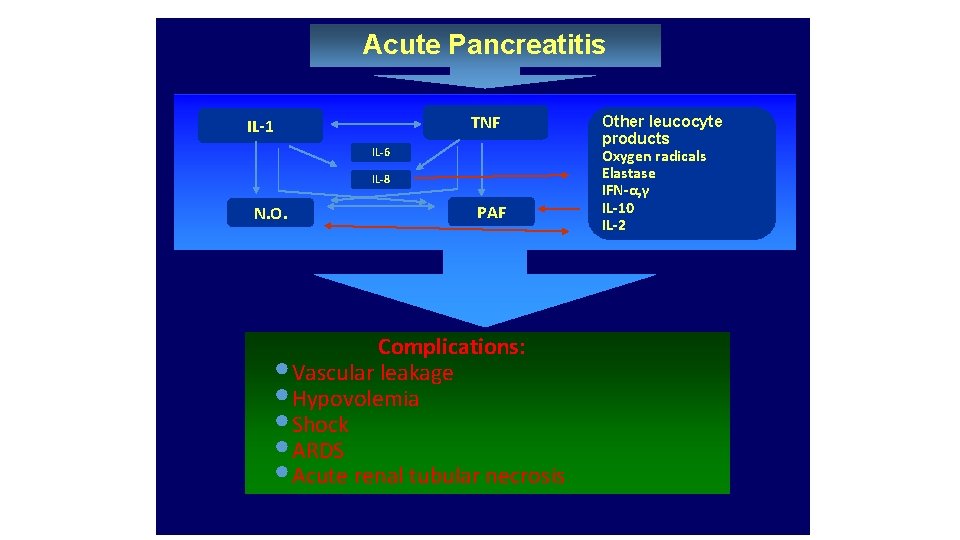 Acute Pancreatitis TNF IL-1 IL-6 IL-8 N. O. PAF Complications: • Vascular leakage •