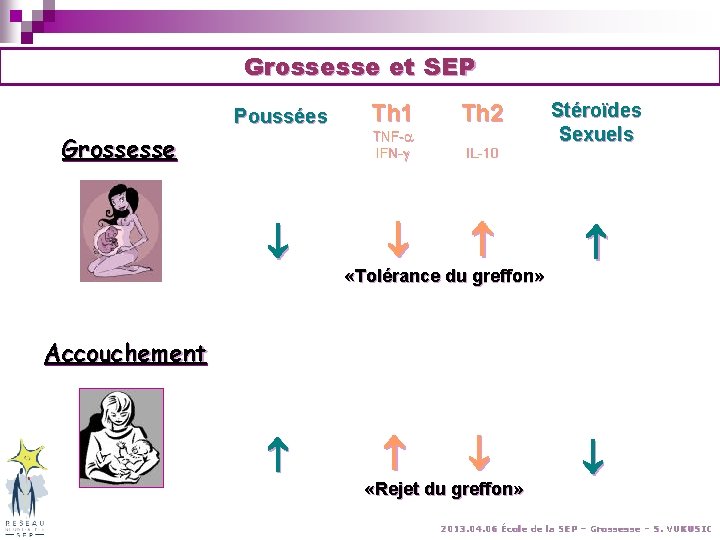Grossesse et SEP Poussées Grossesse Th 1 TNF- IFN- Th 2 IL-10 «Tolérance du Grossesse et SEP Poussées Grossesse Th 1 TNF- IFN- Th 2 IL-10 «Tolérance du
