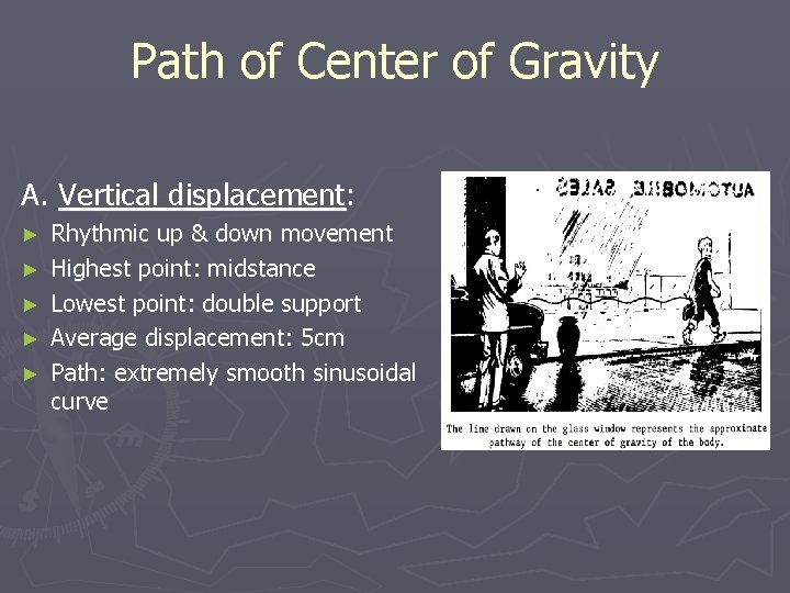 Path of Center of Gravity A. Vertical displacement: ► ► ► Rhythmic up &