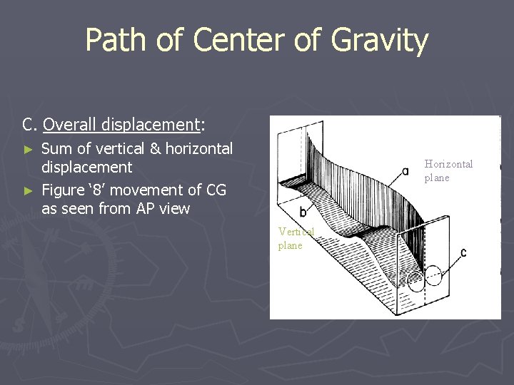 Path of Center of Gravity C. Overall displacement: Sum of vertical & horizontal displacement