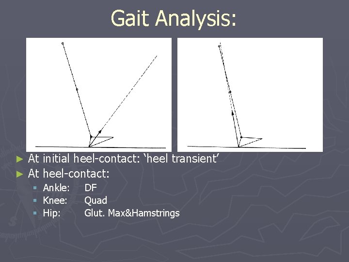 Gait Analysis: At initial heel-contact: ‘heel transient’ ► At heel-contact: ► § § §