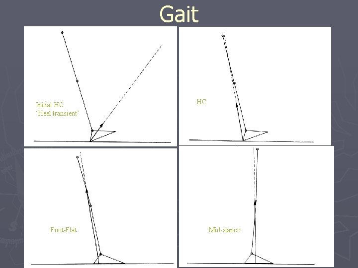 Gait Initial HC ‘Heel transient’ Foot-Flat HC Mid-stance 