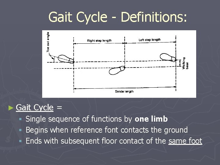 Gait Cycle - Definitions: ► Gait Cycle = § Single sequence of functions by