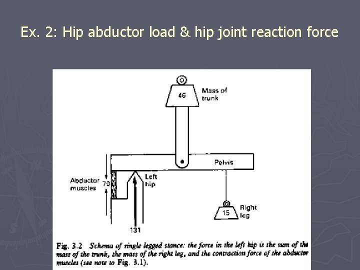 Ex. 2: Hip abductor load & hip joint reaction force 