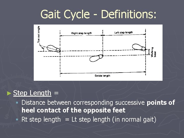 Gait Cycle - Definitions: ► Step Length = § Distance between corresponding successive points