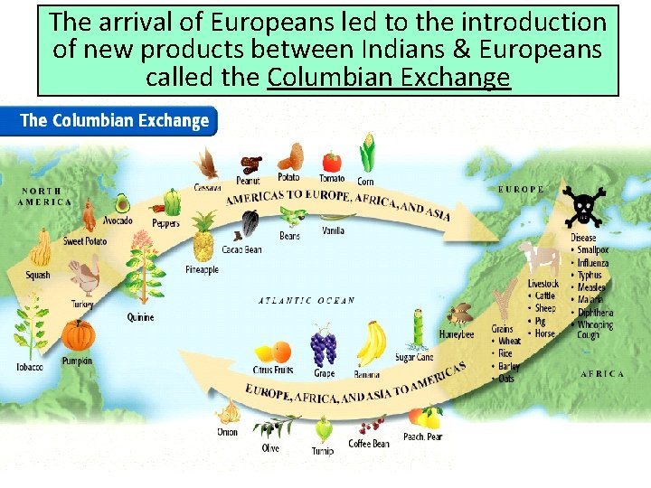 The arrival of Europeans led to the introduction of new products between Indians &