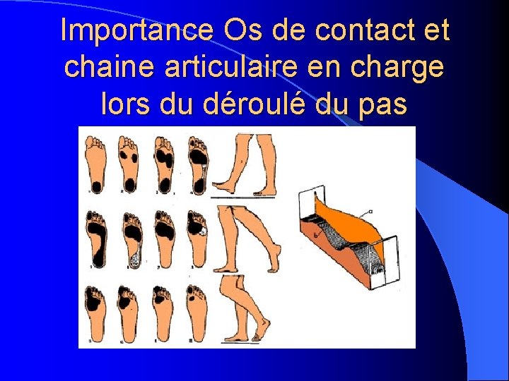 Importance Os de contact et chaine articulaire en charge lors du déroulé du pas