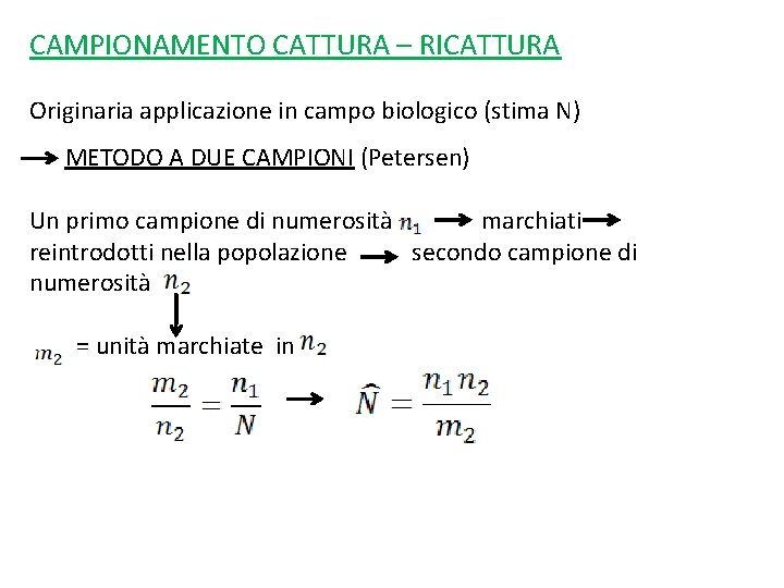 CAMPIONAMENTO CATTURA – RICATTURA Originaria applicazione in campo biologico (stima N) METODO A DUE