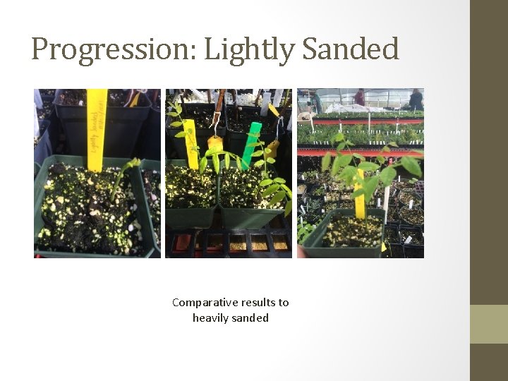 Progression: Lightly Sanded Comparative results to heavily sanded 