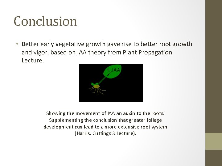 Conclusion • Better early vegetative growth gave rise to better root growth and vigor,