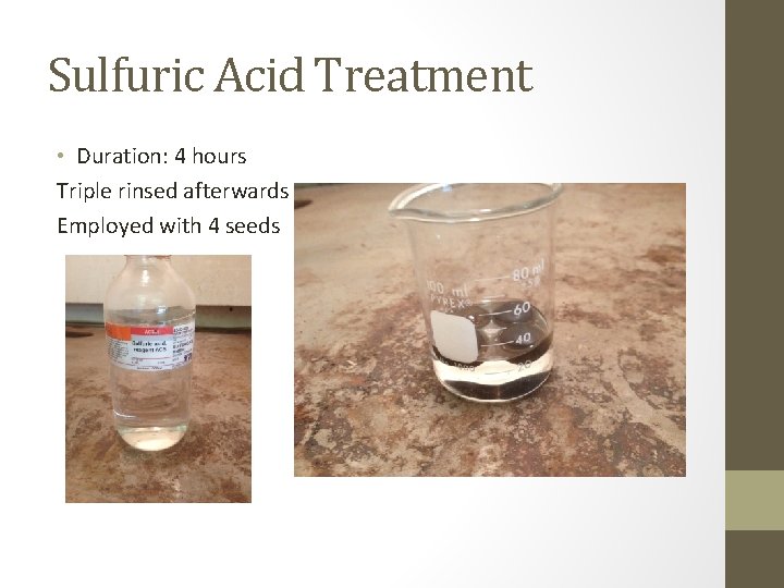 Sulfuric Acid Treatment • Duration: 4 hours Triple rinsed afterwards Employed with 4 seeds