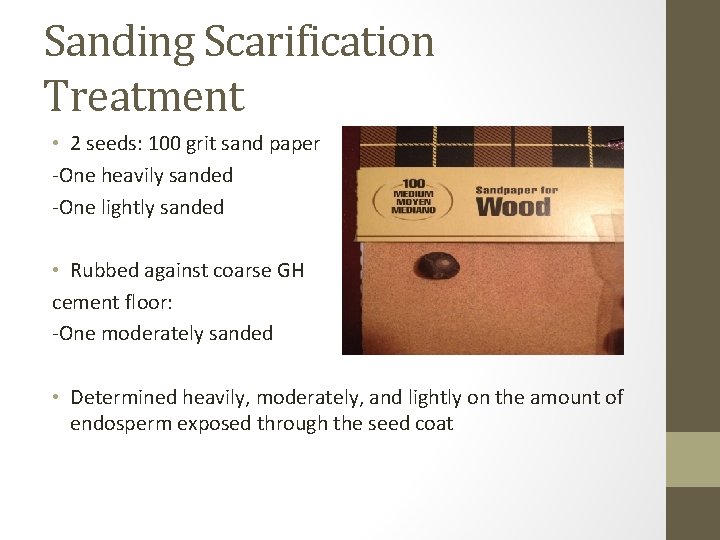 Sanding Scarification Treatment • 2 seeds: 100 grit sand paper -One heavily sanded -One