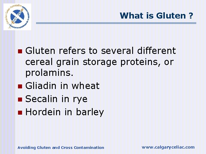 What is Gluten ? Gluten refers to several different cereal grain storage proteins, or