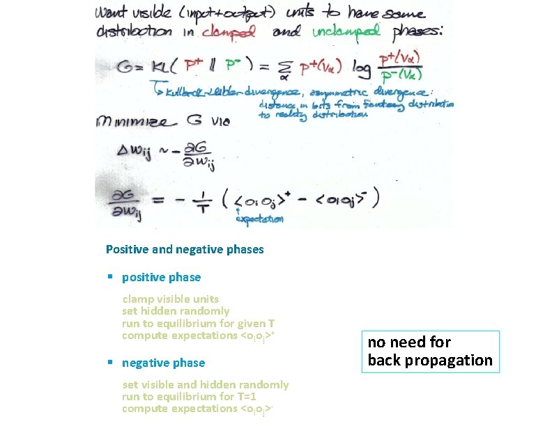 ü Positive and negative phases § positive phase clamp visible units set hidden randomly