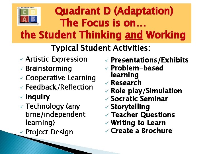 Quadrant D (Adaptation) The Focus is on… the Student Thinking and Working Typical Student