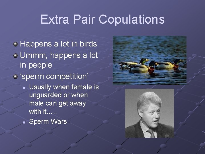 Extra Pair Copulations Happens a lot in birds Ummm, happens a lot in people