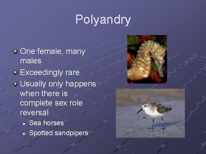 Polyandry One female, many males Exceedingly rare Usually only happens when there is complete