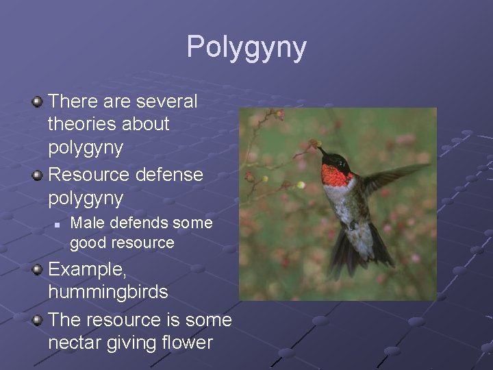 Polygyny There are several theories about polygyny Resource defense polygyny n Male defends some