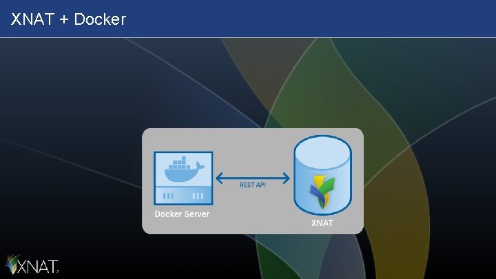 XNAT + Docker 