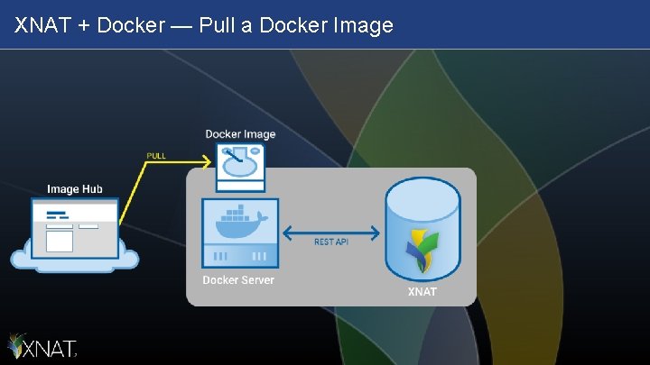 XNAT + Docker — Pull a Docker Image 