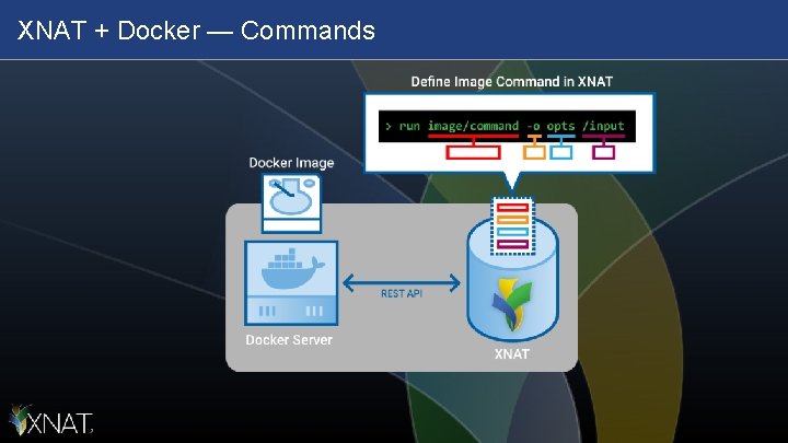 XNAT + Docker — Commands 