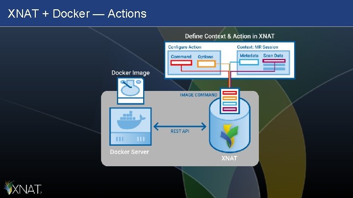 XNAT + Docker — Actions 