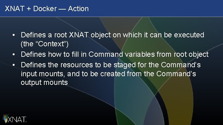 XNAT + Docker — Action • Defines a root XNAT object on which it