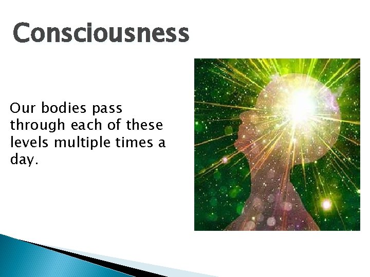 Consciousness Our bodies pass through each of these levels multiple times a day. 