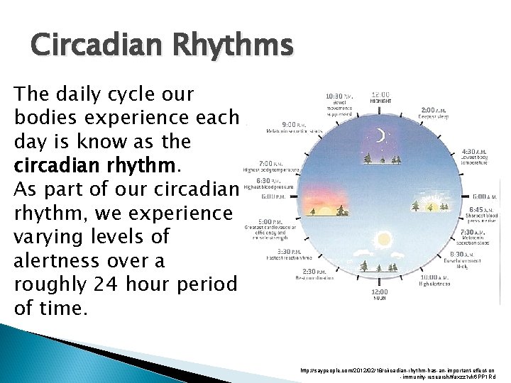 Circadian Rhythms The daily cycle our bodies experience each day is know as the