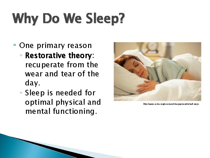 Why Do We Sleep? One primary reason ◦ Restorative theory: recuperate from the wear