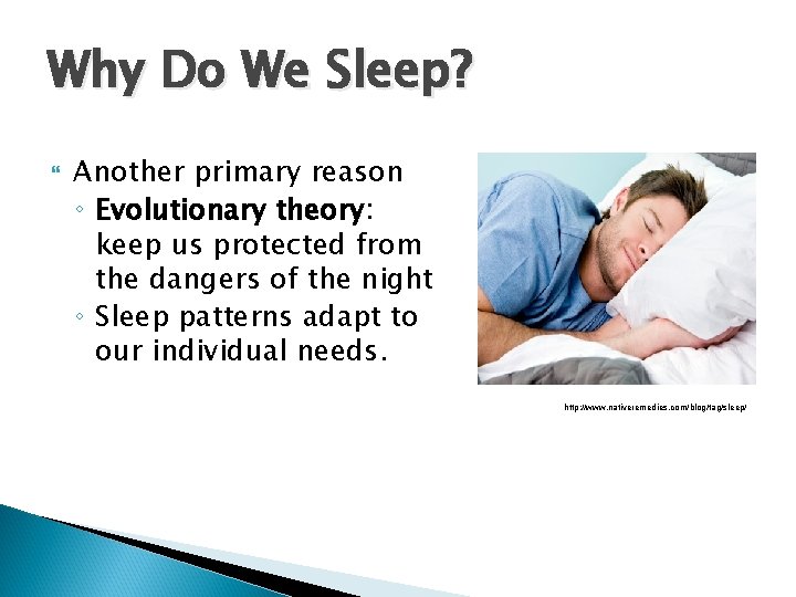 Why Do We Sleep? Another primary reason ◦ Evolutionary theory: keep us protected from