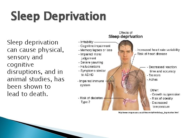 Sleep Deprivation Sleep deprivation cause physical, sensory and cognitive disruptions, and in animal studies,