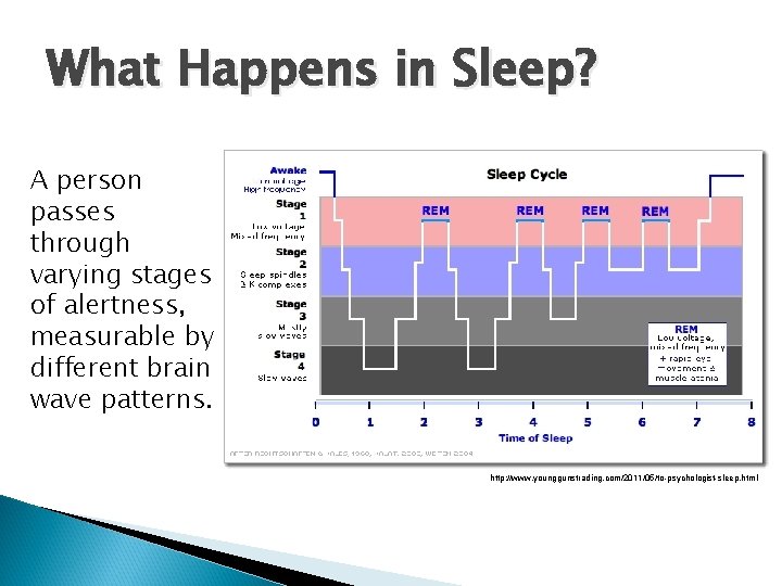 What Happens in Sleep? A person passes through varying stages of alertness, measurable by