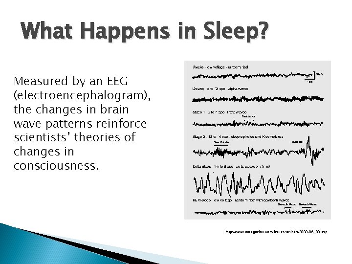What Happens in Sleep? Measured by an EEG (electroencephalogram), the changes in brain wave