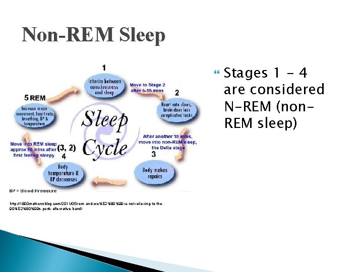 Non-REM Sleep http: //1800 mattressblog. com/2011/05/rem-and-we%E 2%80%99 re-not-referring-to-the 90%E 2%80%99 s-punk-alternative-band/ Stages 1 -