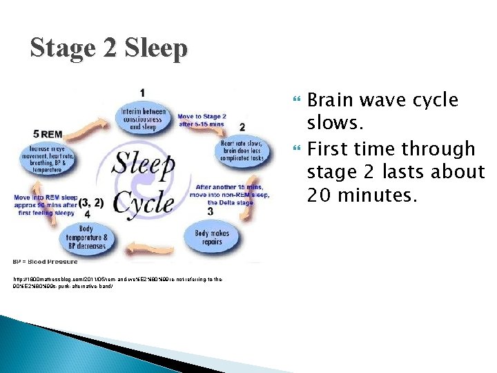 Stage 2 Sleep http: //1800 mattressblog. com/2011/05/rem-and-we%E 2%80%99 re-not-referring-to-the 90%E 2%80%99 s-punk-alternative-band/ Brain wave