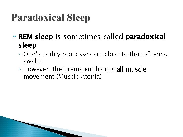 Paradoxical Sleep REM sleep is sometimes called paradoxical sleep ◦ One’s bodily processes are