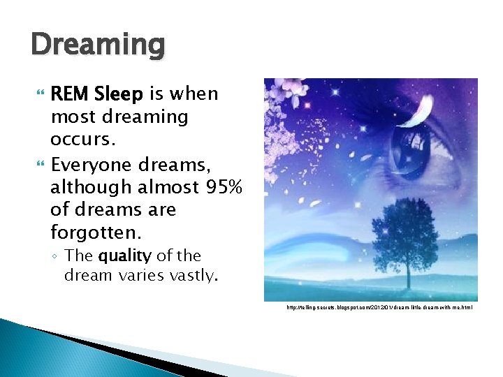 Dreaming REM Sleep is when most dreaming occurs. Everyone dreams, although almost 95% of