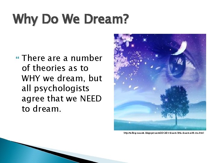 Why Do We Dream? There a number of theories as to WHY we dream,