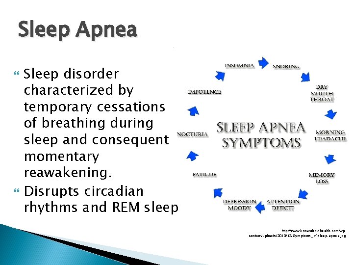 Sleep Apnea Sleep disorder characterized by temporary cessations of breathing during sleep and consequent