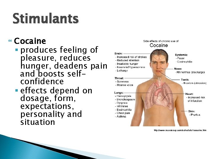 Stimulants Cocaine § produces feeling of pleasure, reduces hunger, deadens pain, and boosts selfconfidence