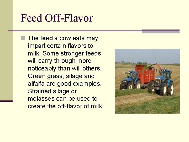 Feed Off-Flavor n The feed a cow eats may impart certain flavors to milk.