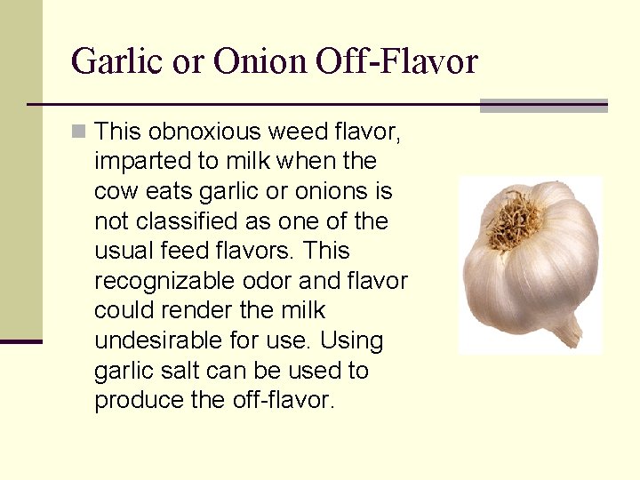 Garlic or Onion Off-Flavor n This obnoxious weed flavor, imparted to milk when the