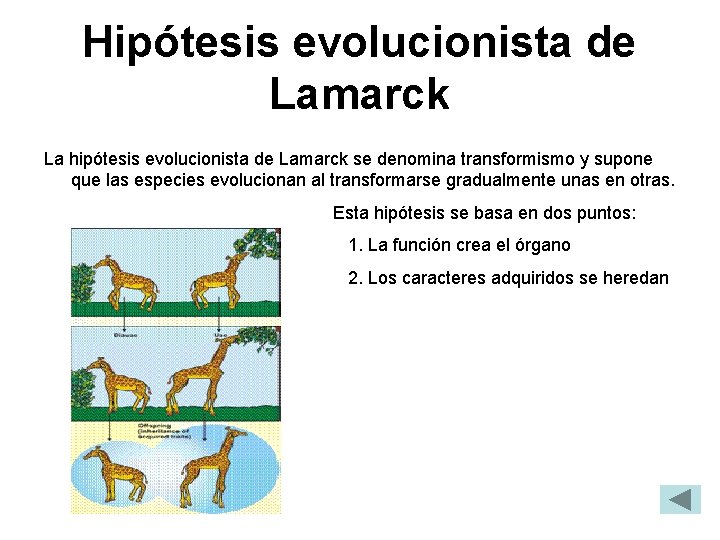 Hipótesis evolucionista de Lamarck La hipótesis evolucionista de Lamarck se denomina transformismo y supone