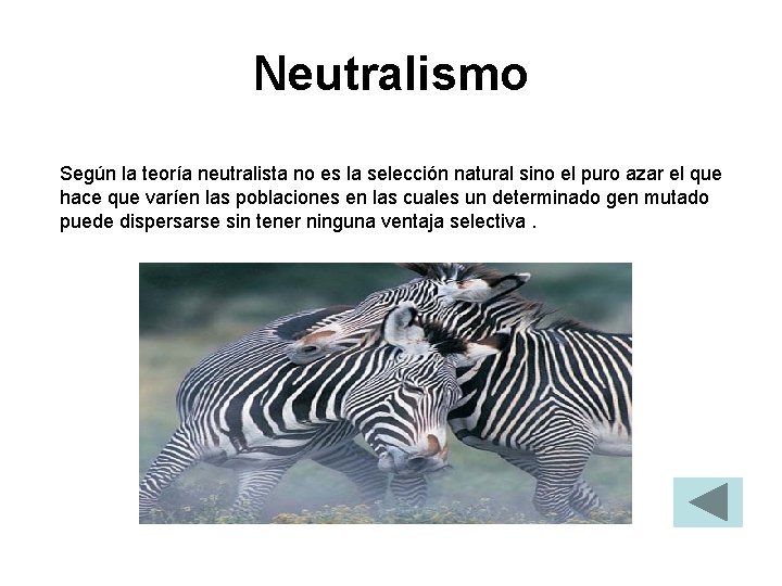 Neutralismo Según la teoría neutralista no es la selección natural sino el puro azar Neutralismo Según la teoría neutralista no es la selección natural sino el puro azar