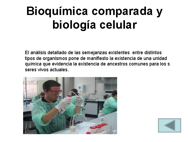 Bioquímica comparada y biología celular El análisis detallado de las semejanzas existentes entre distintos