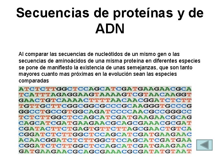 Secuencias de proteínas y de ADN Al comparar las secuencias de nucleótidos de un