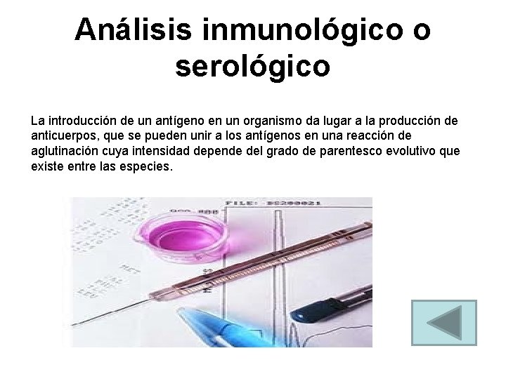 Análisis inmunológico o serológico La introducción de un antígeno en un organismo da lugar