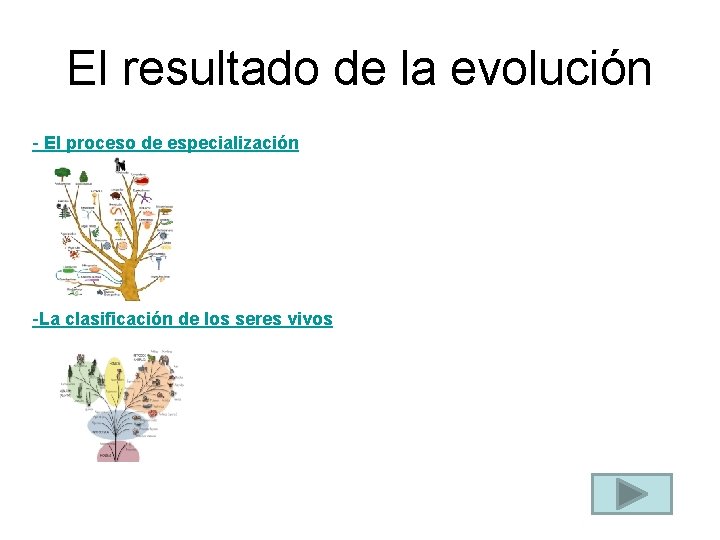 El resultado de la evolución - El proceso de especialización -La clasificación de los